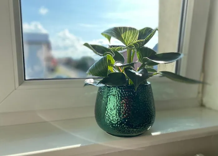 Apartamento Malicia *